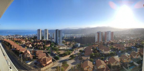 Departamento gregorio Marañón, viña